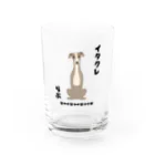 わんだーぱうだーのイタグレらぶ Water Glass :front