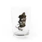 アニマルTAILのデグー兄弟 Water Glass :front