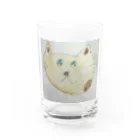 FatPunkLariatのたからネコ Water Glass :front