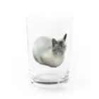 筋肉至上主義者のワイの婆ちゃん家のネッコ Water Glass :front