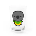 いんこ屋堂のネズミガシラハネナガインコ Water Glass :front