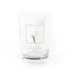 rilybiiのPowderpink tulip , Logoflame . Water Glass :front