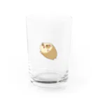 さとわみのモルモットの「つむじ」 Water Glass :front