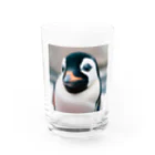 kiyoshi☪︎のペンギンくん(・⊝・) Water Glass :front