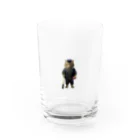 オシャネコのオシャネコ（野球着バージョン Water Glass :front