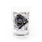 黒トイプーのハナの黒トイプーハナのグッズ Water Glass :front