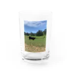 YASUE ABE JPのFarm Water Glass :front