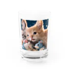 みゅうのぬいぐるみと猫ちゃんのショット Water Glass :front