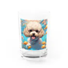 ワンちゃん大好きの熱帯魚と遊ぶトイプードル Water Glass :front