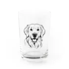 Matsue Hannaの笑顔のゴールデンレトリバー Water Glass :front