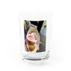 競馬大好きTBTショップ！の大井競馬場の開運だんご Water Glass :front