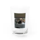 ショップyukimaroのネコちゃんたち Water Glass :front