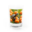 saijo79のオレンジミドリガメ Water Glass :front