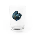 さくりのおやすみショップの思い出の輝き Water Glass :front