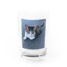 ながしっぽ from.さくらねこの家のながしっぼ typeN Water Glass :front