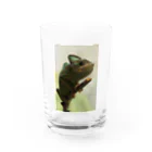 可愛い動物のカメレオン Water Glass :front