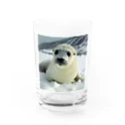 monkeyGの雪見大福みたいなアザラシ Water Glass :front