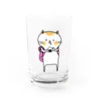 さかやの白茶ねこ Water Glass :front