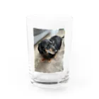 Kawaii-Animaru-Storeの犬 Water Glass :front