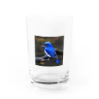 幸せを呼ぶショップの幸運を呼ぶ青い鳥 グラス前面