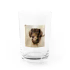 マリアの愛犬マリア Water Glass :front