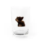 マリアの散歩嫌い マリアちゃん Water Glass :front