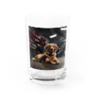 NiTiのガレージにいる犬 Water Glass :front