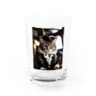 ZZRR12の海賊の支配者猫：海の覇者 Water Glass :front