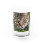 kkbaseballの草村の猫 グラス前面