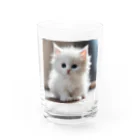 SkyBlueのキュートな子猫 Water Glass :front