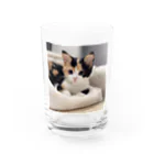 癒しリフレッシュの愛らしい子猫ちゃん Water Glass :front