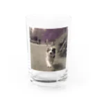 _ryosuke_tvの愛犬 Water Glass :front