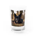 犬太郎の第一弾　『シャドウ』 Water Glass :front