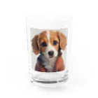 merciのかわいい　犬 Water Glass :front