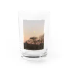 Cororineの冬の夜のはじまり Water Glass :front