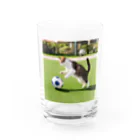 huwahuwa_nikonikoshopのサッカーするネコ Water Glass :front