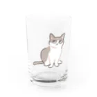 猫屋カエデのハチワレ Water Glass :front