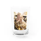 AQUAMETAVERSEのゴールドオープンカー sanae 2074 Water Glass :front