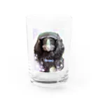 カラスのクッピのカラスのラビ Water Glass :front