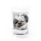 miyata20のいねむりワンちゃん Water Glass :front