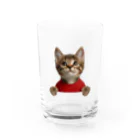 子猫のマイク・mikeの部屋のmikeナンバー１ Water Glass :front