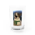 SHABBAT MOON のSHABBAT CAT Water Glass :front