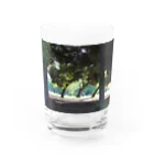 STELLAREOのおとぎの公園の木 Water Glass :front