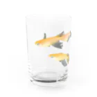 negiNegiの三匹のメダカ（楊貴妃） Water Glass :front