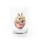 うさぎのうみちゃんねるショップのPets for You作品〜お茶わんうみ（赤ちゃんVer.） Water Glass :front