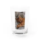 愛美吉祥天女のtennyoと猫 Water Glass :front