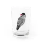 suzuaoのふさふさ文鳥くん Water Glass :front