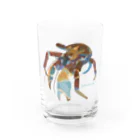 さちこの生物雑貨のヤシガニ Water Glass :front