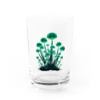 mushupのキンギョソウ Water Glass :front