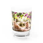 migiwanchanのブーゲンビリアマルプー Water Glass :front